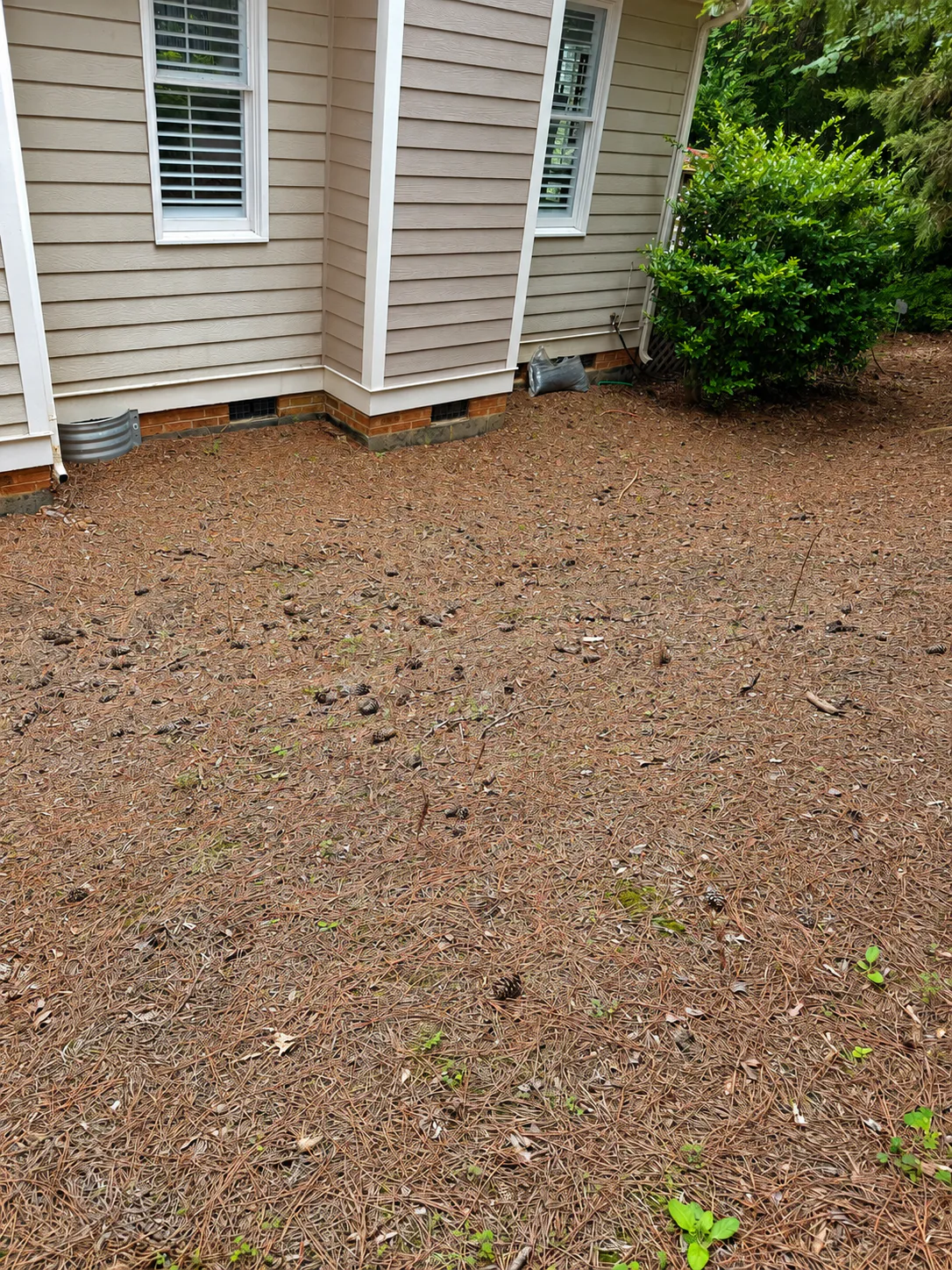 Before - bare backyard space with no existing deck
